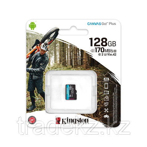 Карта памяти Kingston SDCG3/128GBSP A2 U3 V30 128GB без адаптера, фото 3