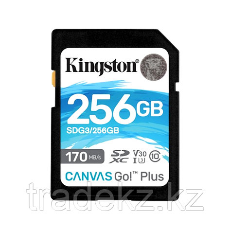 Карта памяти Kingston SDG3/256GB SD 256GB, фото 3