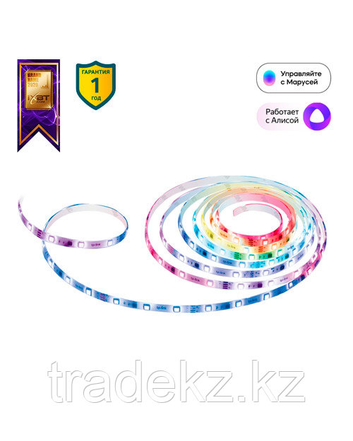TP-Link Tapo L920-5