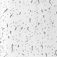 Подвесной потолок Армстронг Bajkal (Байкал)