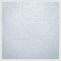 Подвесной потолок моющийся, без каркаса.