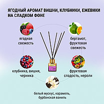 Диффузор Диффузор AVRORA ягоды 100 мл, фото 2
