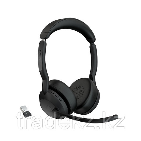 Гарнитура Jabra Evolve2 55 Link380a MS Stereo, фото 1
