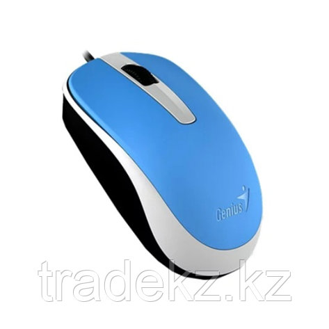 Компьютерная мышь Genius DX-120 Blue, фото 1