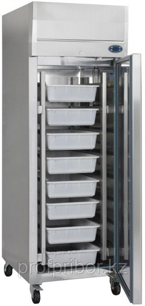 Холодильный шкаф Tefcold RKS600FISH