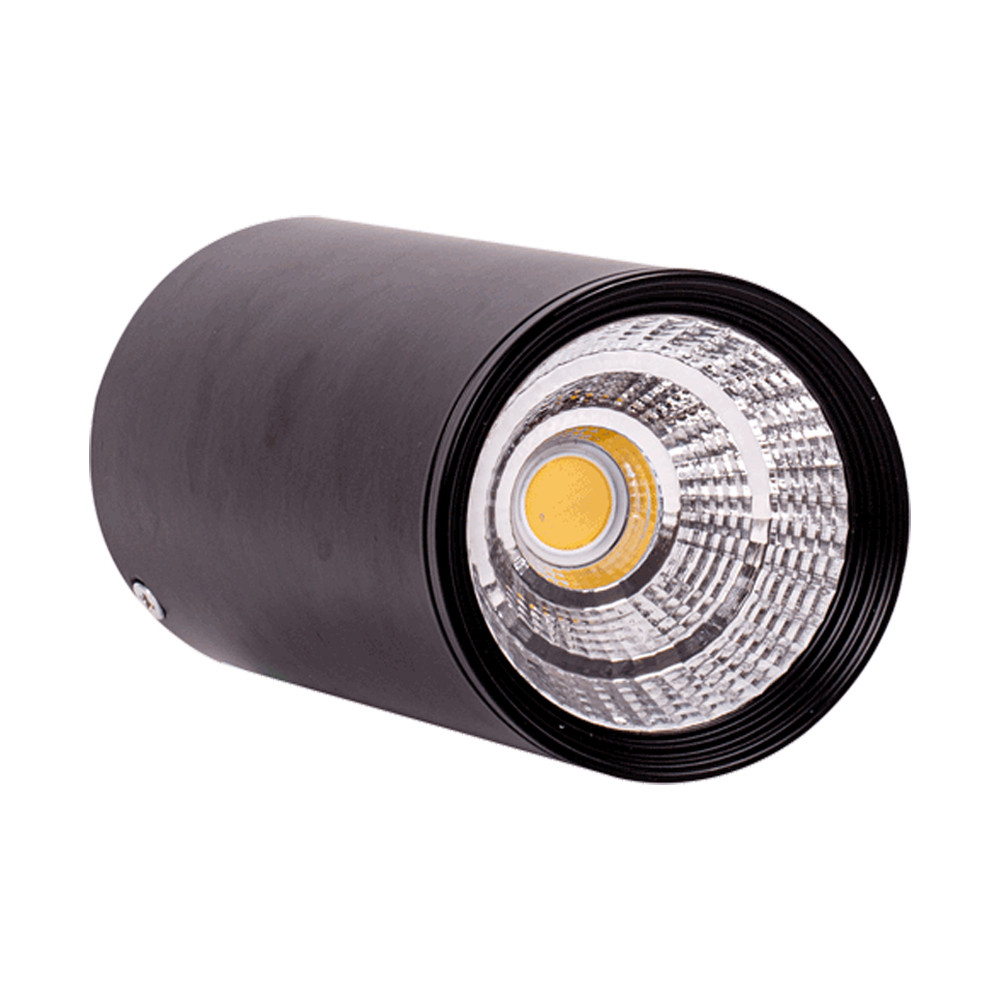 Св-к. LED LED MOND COB 30W 4000K BLACK (TEKLED)20шт