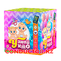 Дневной Салют "Узнай кто"