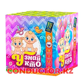 Дневной Салют "Узнай кто"