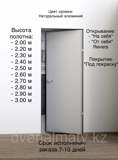 Дверь скрытого монтажа Invisible 200 MHD ALUM 55, фото 1