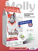 Сухой Премиум корм "Molly" -Говядина с рисом