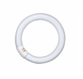 L 32/840 C G10q кругл T8 OSRAM (12) !!!