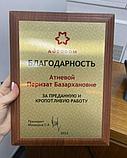 Плакетка наградная, фото 2