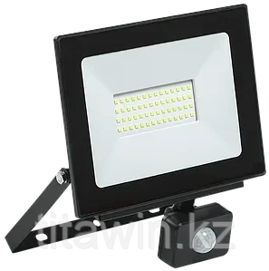 Прожектор светодиодный 100W 6500К с датчиком движения