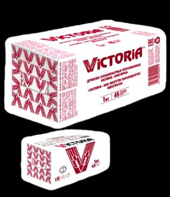 Львовта секс іздеп жүрген қыз Орыс тілінде онлайн мағынасы бар әйелдер секс фильмдері