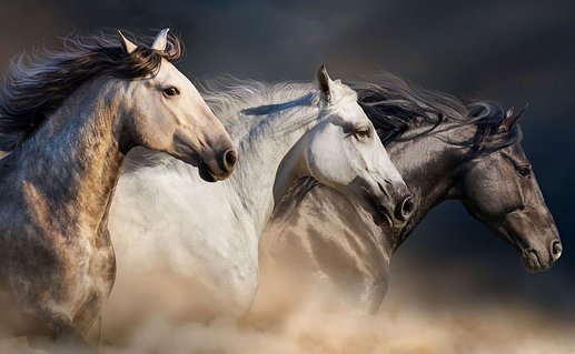 Джессика Альба порно онлайн көру Ресейлік үйдегі әйелдердің интимдік фотосуреттері