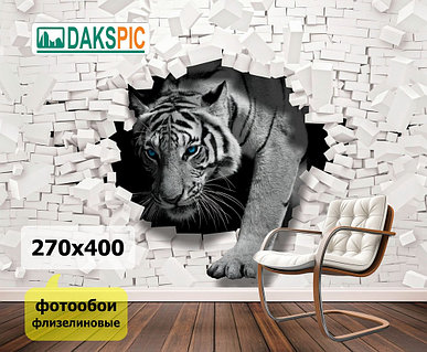 Семіз есектердің жақыннан жасалған фотосуреттері Дженни Скордамаглиа жалаңаш суреттері