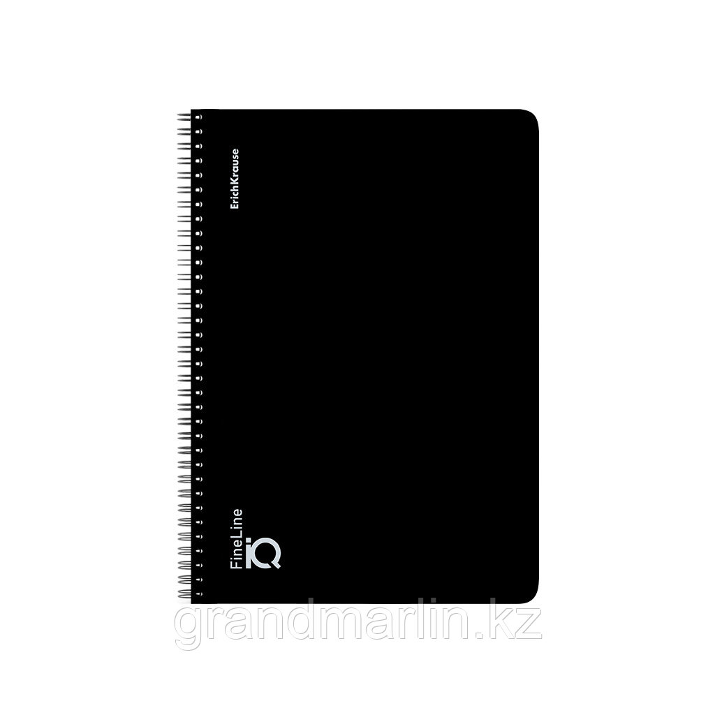 Тетрадь общая с пластиковой обложкой на спирали ErichKrause IQ FineLine, Classic черный, B5, 100 лис, фото 1