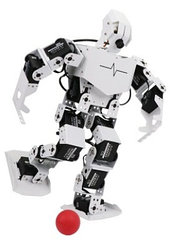 Человекоподобный антропоморфный робот Raspberry pi TonyPi