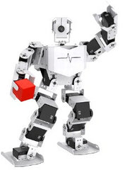 Человекоподобный антропоморфный робот Raspberry pi TonyPi Pro