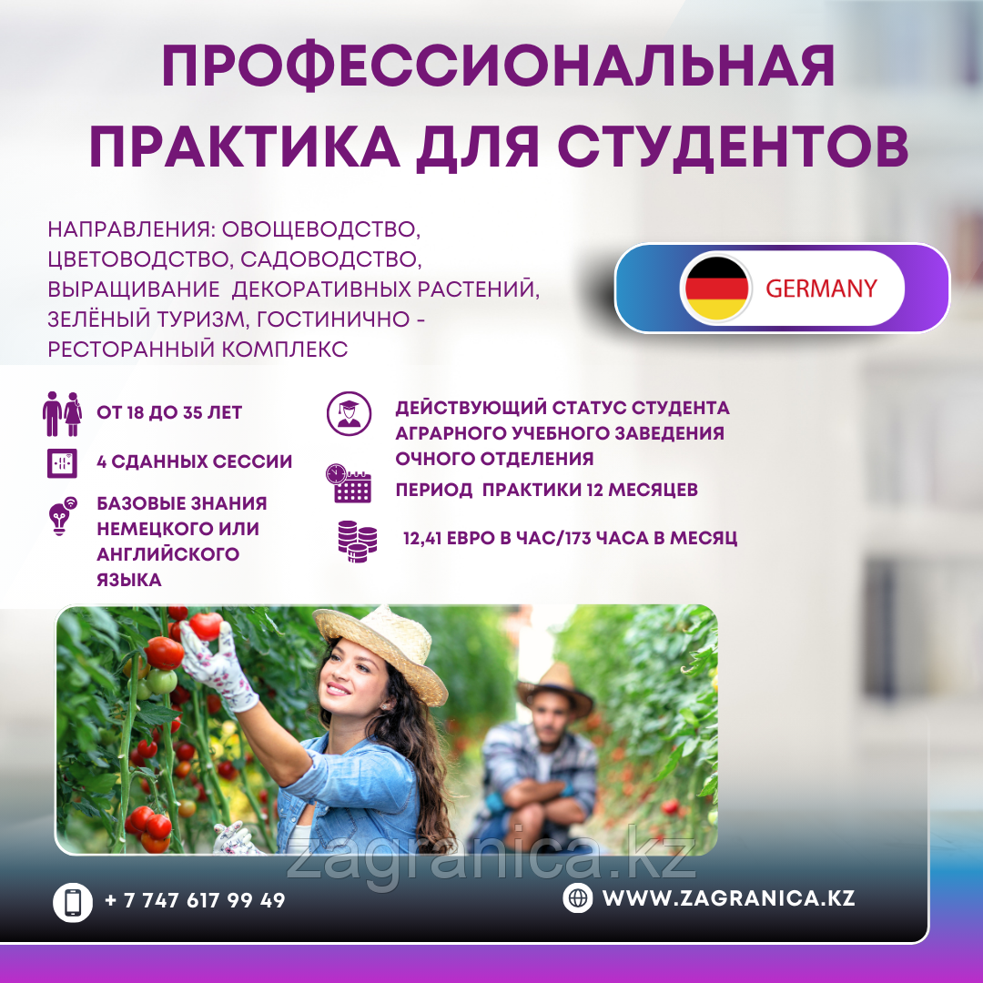 Германия: профессиональная практика для студентов очного отделения