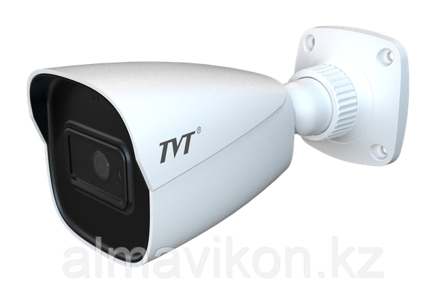 Видеокамера IP цветная купольная TD-9441E3B