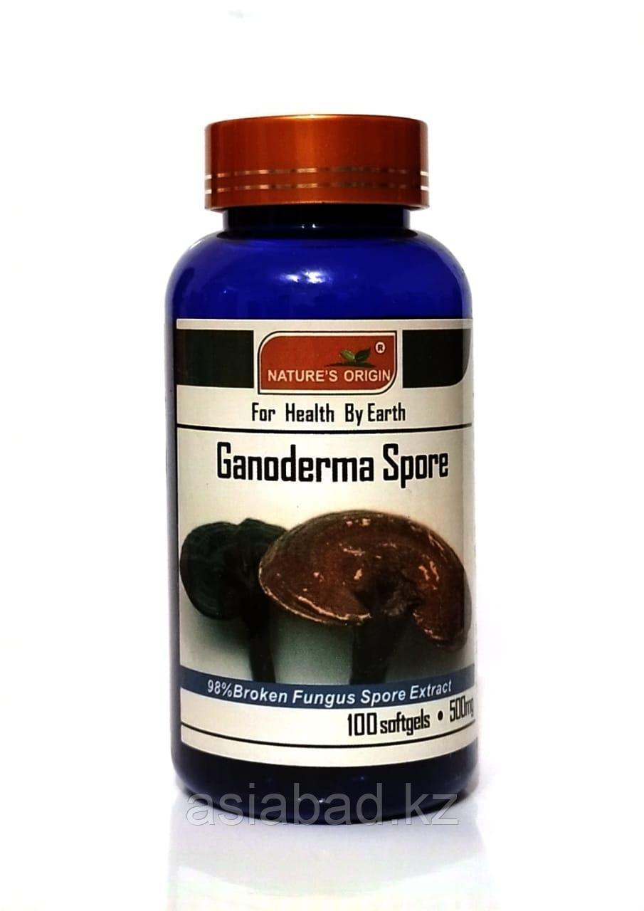 Ганодерма ( Ganoderma Spore ) при профилактике раковых заболеваний, сдерживает развитие раковых клеток предохр, фото 1