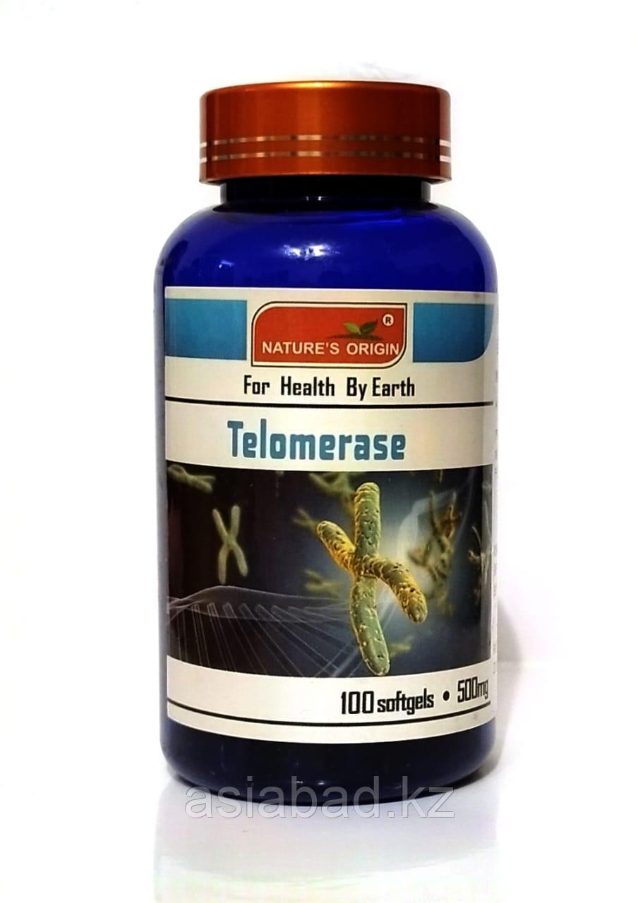 Теломераза ( Telomerase ) регулировка давления, регулировка уровня сахара крови, снижение холестерина, снижен, фото 1