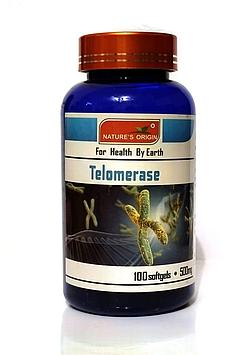Теломераза ( Telomerase )  регулировка давления, регулировка уровня сахара крови, снижение холестерина, снижен