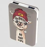 Зарядное устройство Power bank Ritmix RPB-10007 Lama