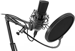 Студийный микрофон Ritmix RDM-169 черный