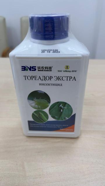 Ескі және шамадан тыс порно видеолар