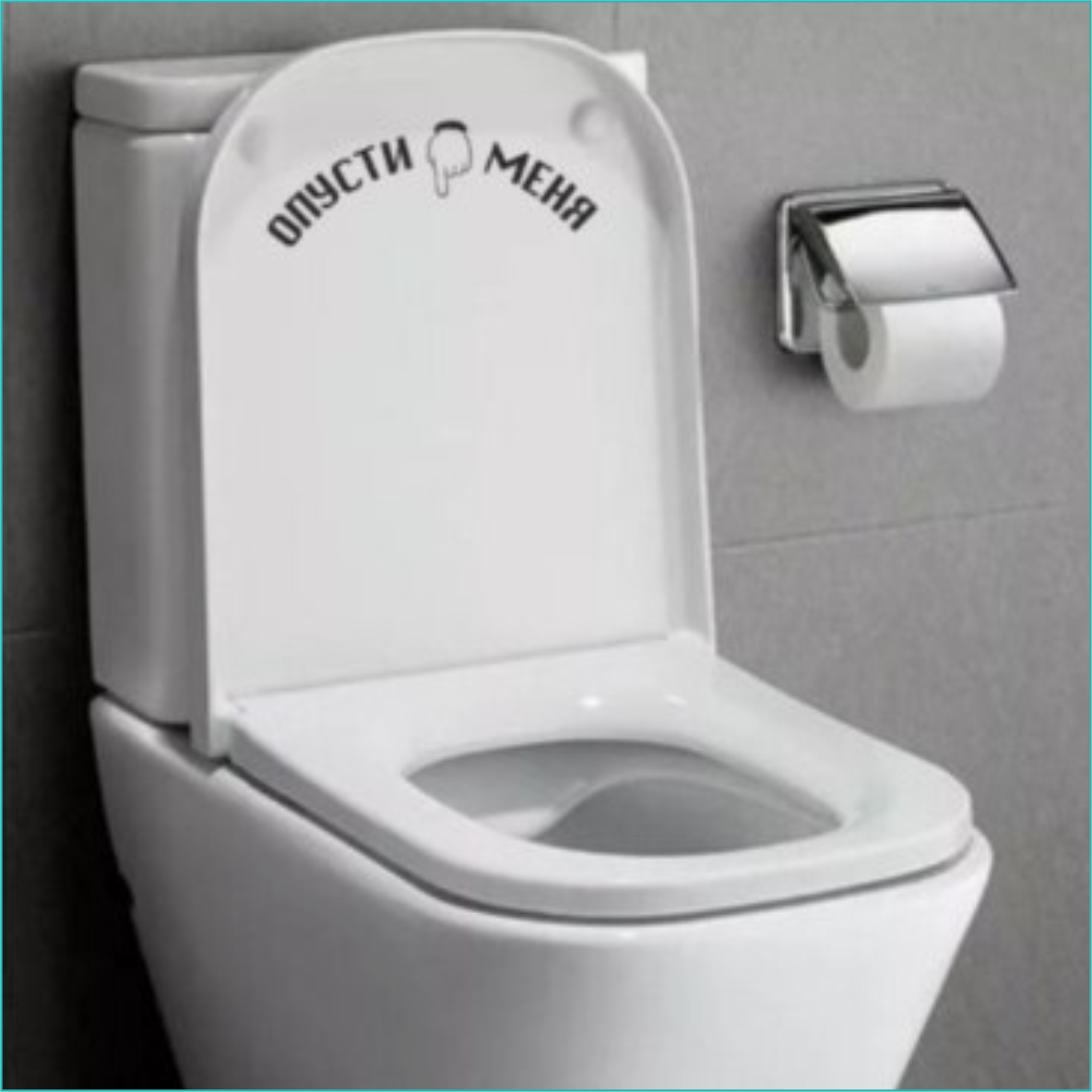 Cuvette wc humour online