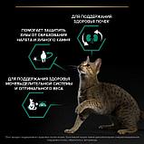 PRO PLAN STERILISED Salmon, Про План для стерилизованных котов и кошек с лососем, уп 400 гр., фото 5