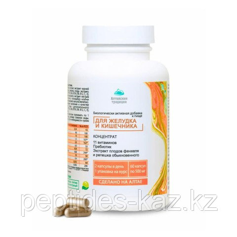 Сoncentrate Stomach and Intestines, Концентрат для Желудка и Кишечника с пребиотиком и витаминами №60