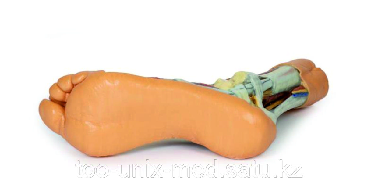 Xxx пошта арқылы Xxx пошта арқылы