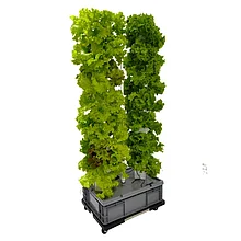 Колонная башня (2 шт) для посадки овощей и фруктов. (С помпой)