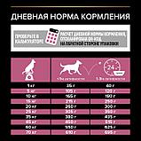 Pro Plan Medium Adult Sensitive, Про План для собак с чувствительным пищеварением, лосось|рис, уп.14 кг., фото 7