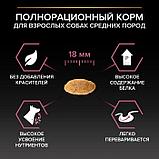 Pro Plan Medium Adult Sensitive, Про План для собак с чувствительным пищеварением, лосось|рис, уп.14 кг., фото 5