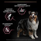 Pro Plan Medium Adult Sensitive, Про План для собак с чувствительным пищеварением, лосось|рис, уп.14 кг., фото 4