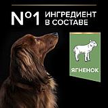Pro Plan Adult Small &Mini Sensitive Digestion, Про План для собак мелких пород, ягненок/рис, 7кг, фото 3