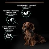 Pro Plan Adult Small &Mini Sensitive Digestion, Про План для собак мелких пород, ягненок/рис, 7кг, фото 4