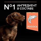 Pro Plan Puppy Small & Mini Salmon, корм для щенков мелких пород с лососем, уп.3кг., фото 3