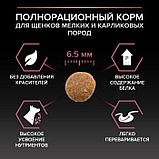 Pro Plan Puppy Small & Mini Salmon, корм для щенков мелких пород с лососем, уп.3кг., фото 5