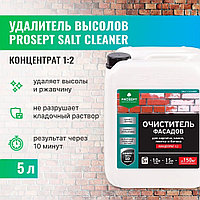 Моющее чистящее удалитель высолов концентрат 1:2, 021-5 SALT CLEANER(САЛТ КЛИНЕР) -  5 л.=150м2