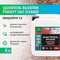 Очиститель удалитель высолов концентрат 1:2, 021-5 SALT CLEANER(САЛТ КЛИНЕР) -  5 л.=150м2