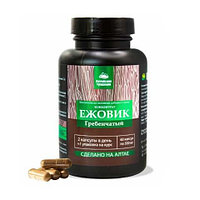 Concentrate Bearded Hedgehog, Концентрат Ежовик гребенчатый №60