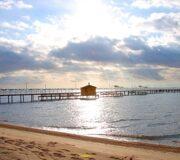 Жабайы әйелдер секс