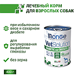 8201 Monge GF Vetsolution Canine Adult Diabetic&Obesity, Монже влажный корм для собак при диабете, б 400гр., фото 2