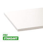 ПВХ 10мм STANDART 1,22м*2,44м, фото 2