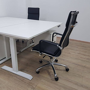 Электрический регулируемый стол (2 двигателя, белый каркас)